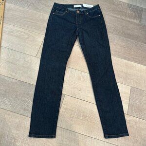 ANN TAYLOR LOFT WOMENS JEANS NEW 25/0 PETITE MODERN SKINNY